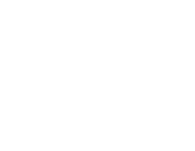 Elara IT